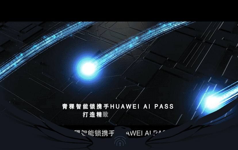 天天展会