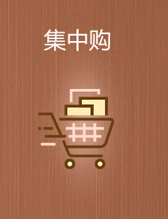 集中购