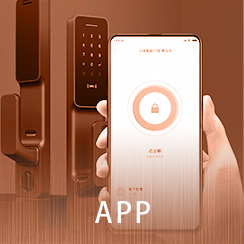 APP