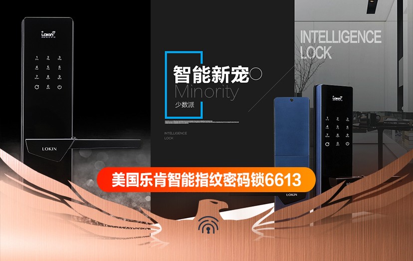 美国乐肯高端指纹锁家用防盗门锁指纹密码防盗电子锁智能门锁6613